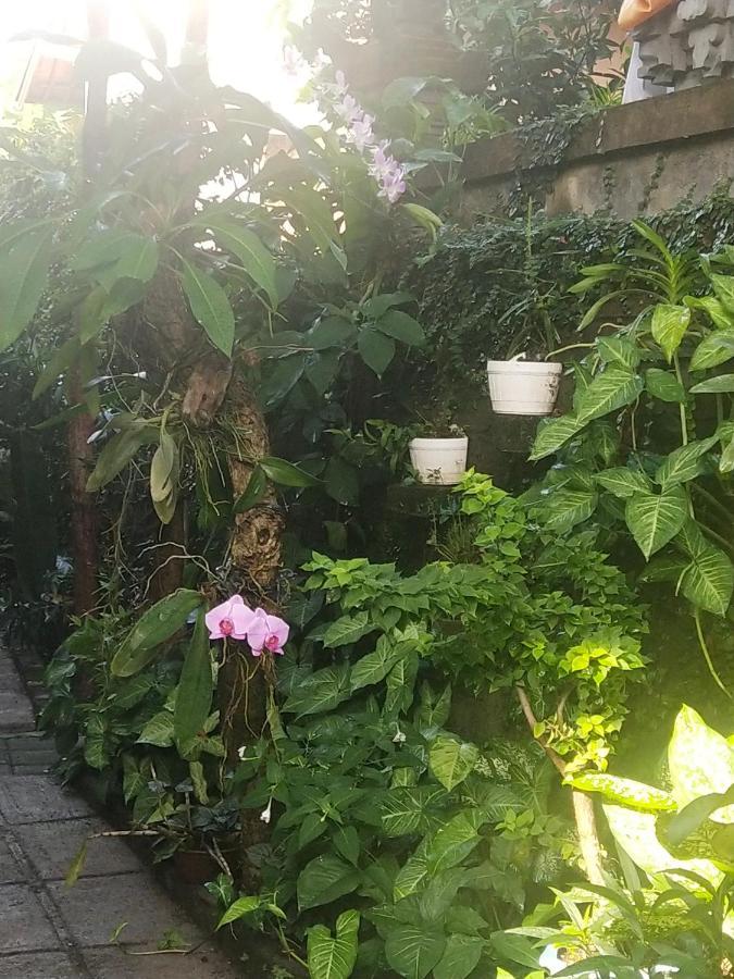 Santa Fe Homestay & Warong Amed Extérieur photo