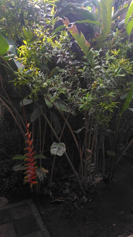 Santa Fe Homestay & Warong Amed Extérieur photo